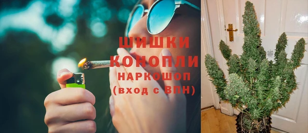 прущие грибы Няндома