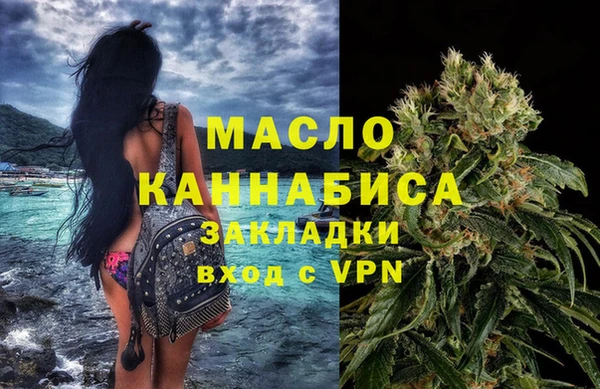 прущие грибы Няндома