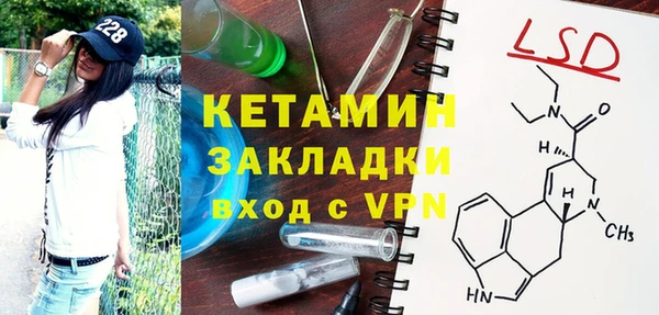 прущие грибы Няндома