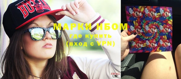 прущие грибы Няндома