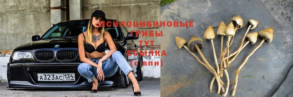 дмт Осташков